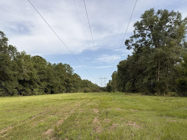 415 Hunters Trce, Crawfordville, FL 32327 - view of yard featuring a wooded view