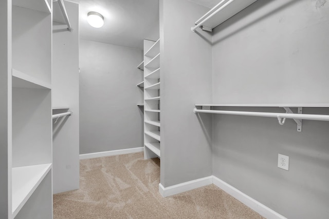 2613 Hastings Dr, Tallahassee, FL 32303 - photo 25