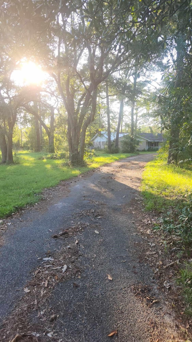 view of road