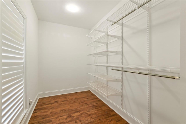 1466 Mitchell Ave, Tallahassee, FL 32303 - photo 42