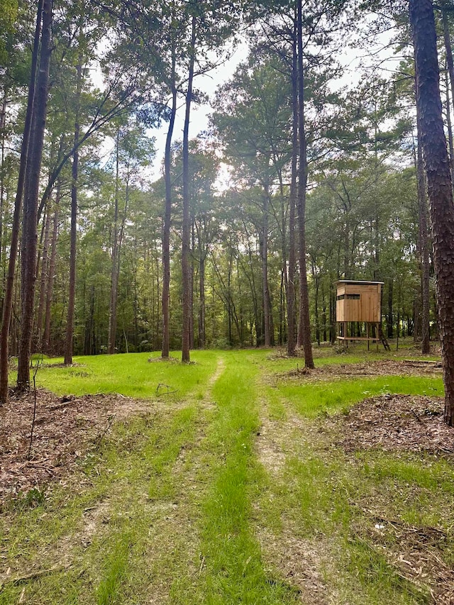 0 Wiley Rd, Tallahassee FL, 32309 land for sale