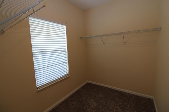 1712 Corey Wood Cir, Tallahassee, FL 32304 - photo 12