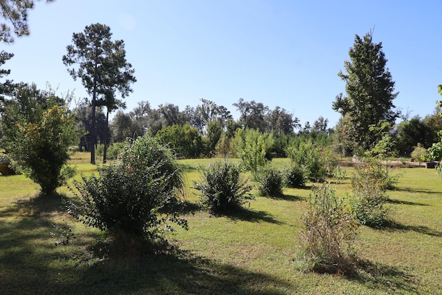 view of nature featuring a rural view