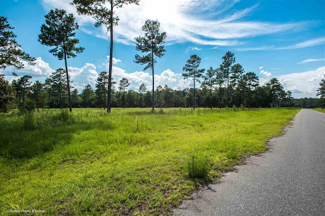 LOT7 San Bonita Blvd Unit 1, Havana, FL 32333 - photo 13