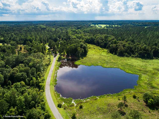 LOT7 San Bonita Blvd Unit 1, Havana, FL 32333 - photo 16