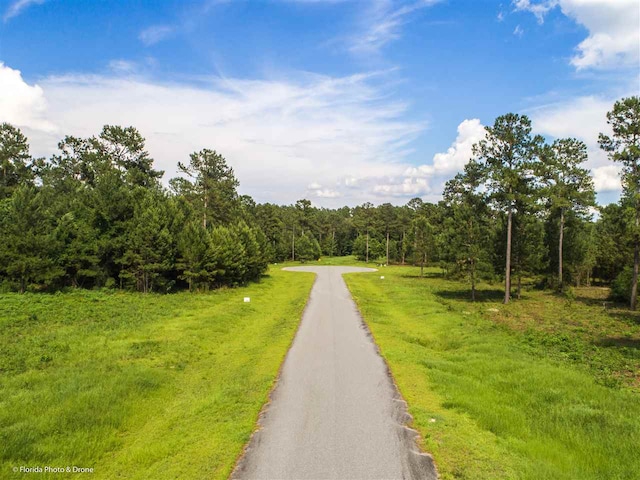 LOT7 San Bonita Blvd Unit 1, Havana, FL 32333 - photo 12