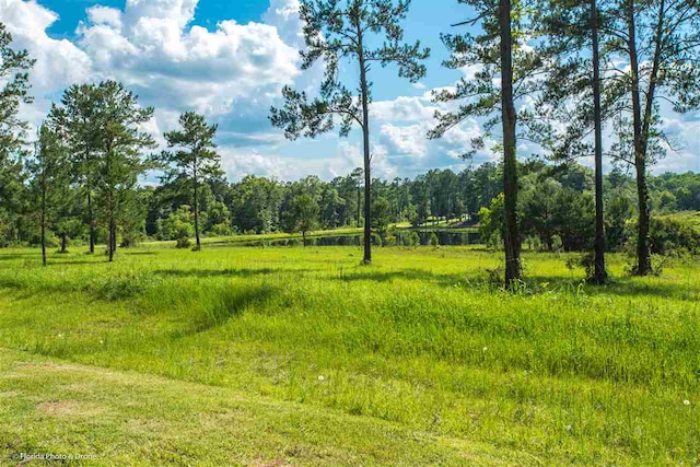 LOT7 San Bonita Blvd Unit 1, Havana, FL 32333 - photo 15