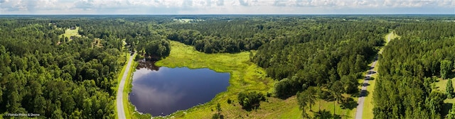 LOT7 San Bonita Blvd Unit 1, Havana, FL 32333 - photo 20