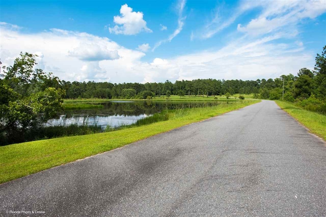 LOT7 San Bonita Blvd Unit 1, Havana, FL 32333 - photo 7