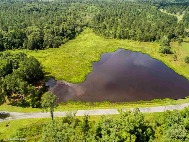 LOT7 San Bonita Blvd Unit 1, Havana, FL 32333 - photo 3