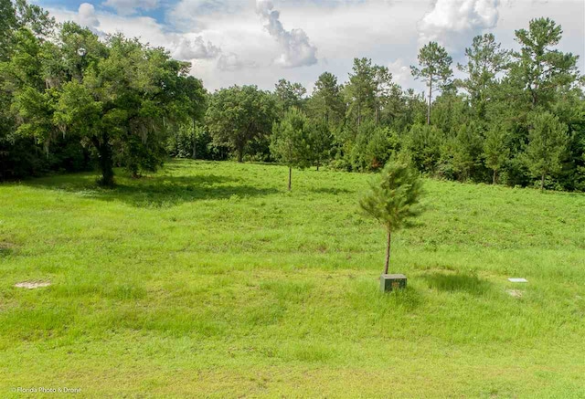 LOT7 San Bonita Blvd Unit 1, Havana, FL 32333 - photo 10