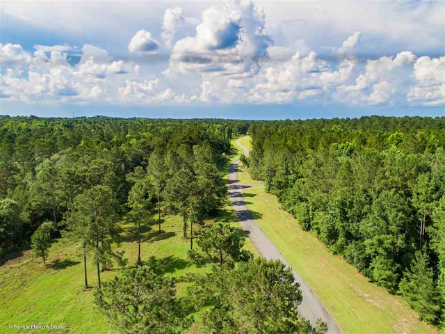 LOT7 San Bonita Blvd Unit 1, Havana, FL 32333 - photo 18