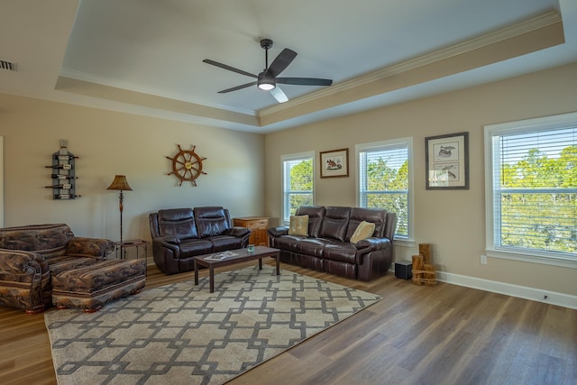 living room featuring hardwood / wood-style flooring and a tray ceiling