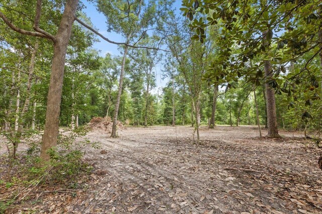 00 Gould Rd, Quincy, FL 32351 - photo 8