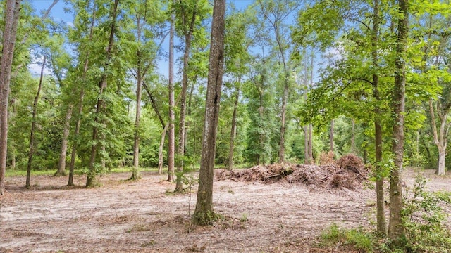 00 Gould Rd, Quincy, FL 32351 - photo 6