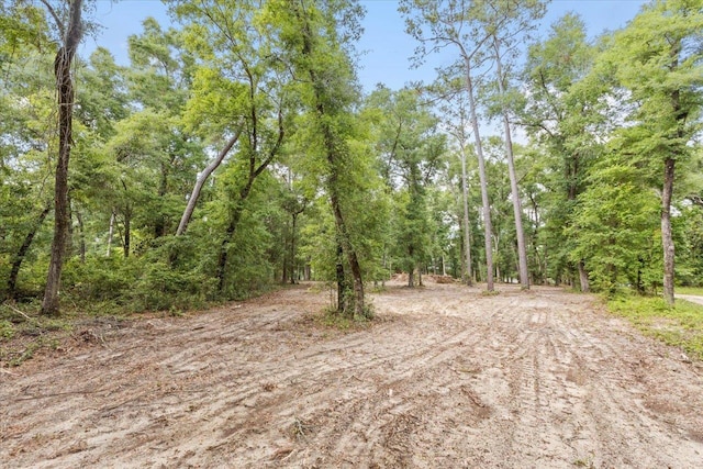 00 Gould Rd, Quincy, FL 32351 - photo 14