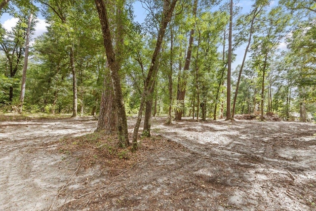 00 Gould Rd, Quincy, FL 32351 - photo 3