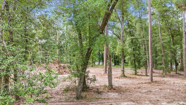 00 Gould Rd, Quincy, FL 32351 - photo 9