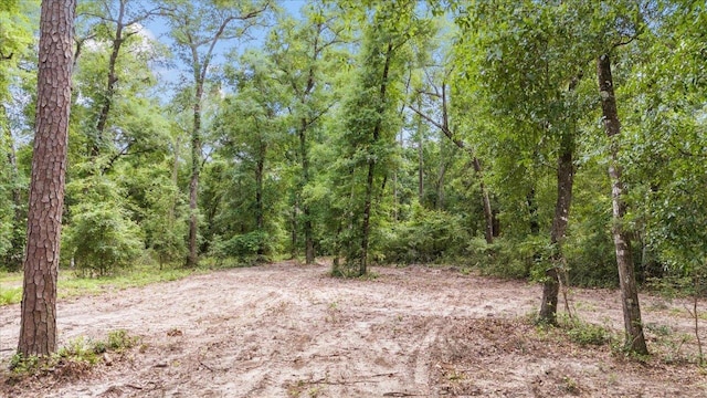 00 Gould Rd, Quincy, FL 32351 - photo 13