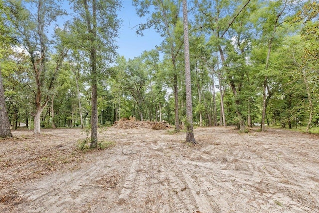00 Gould Rd, Quincy, FL 32351 - photo 2