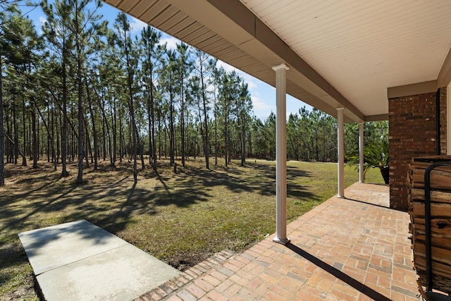 view of yard with a patio