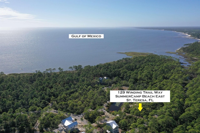 129 Winding Trail Way Lot 385 - E, Saint Teresa FL, 32358 land for sale