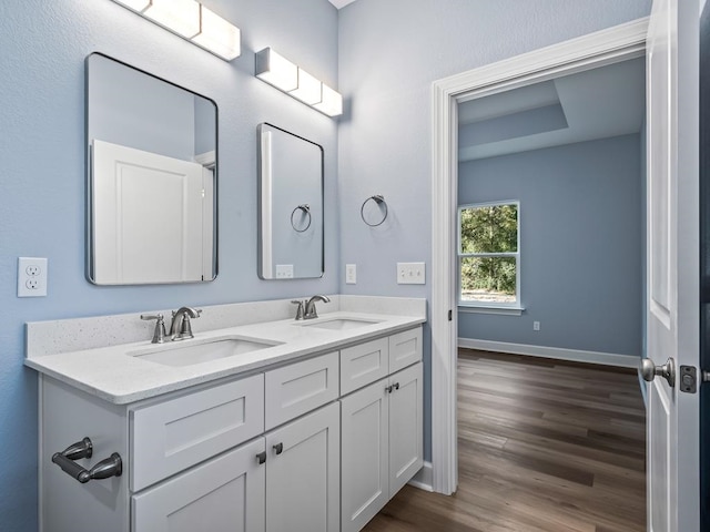 bathroom with wood-type flooring and vanity