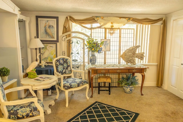 sitting room with carpet and a textured ceiling