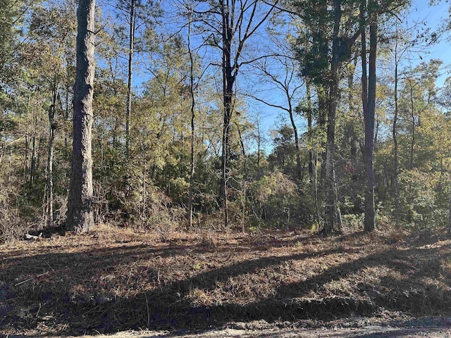 Choctaw Rd, Crawfordville FL, 32327 land for sale