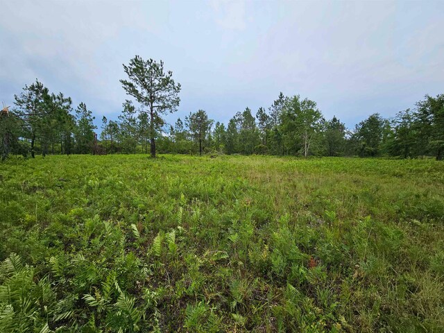 Listing photo 3 for LOT11 NE Alton Wentworth Rd, Greenville FL 32331