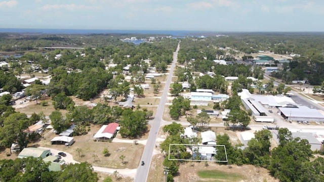 1405 SE 2nd Ave, Steinhatchee, FL 32359 - aerial view of property's location featuring property parcel outlined