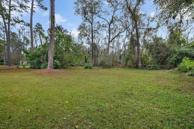 1607 Wekewa Nene, Tallahassee, FL 32301 - view of green lawn