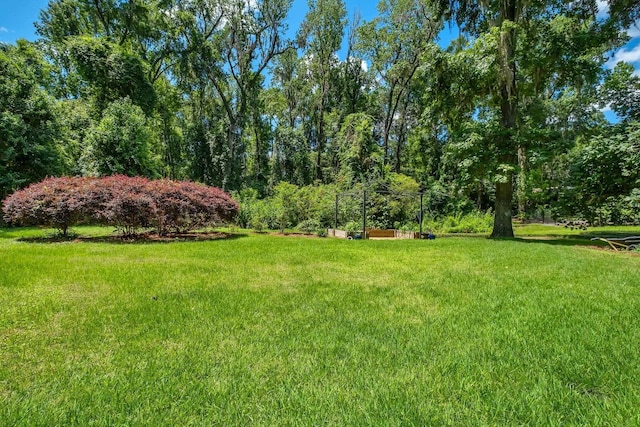 2593 Merganser Ct, Tallahassee, FL 32308 - photo 58