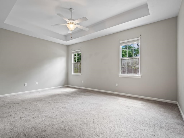 carpeted spare room with a healthy amount of sunlight and a tray ceiling