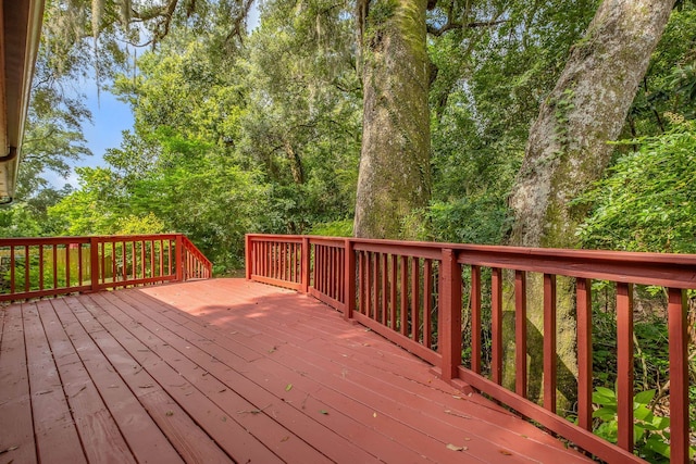 708 Red Fern Rd, Tallahassee, FL 32308 - photo 22