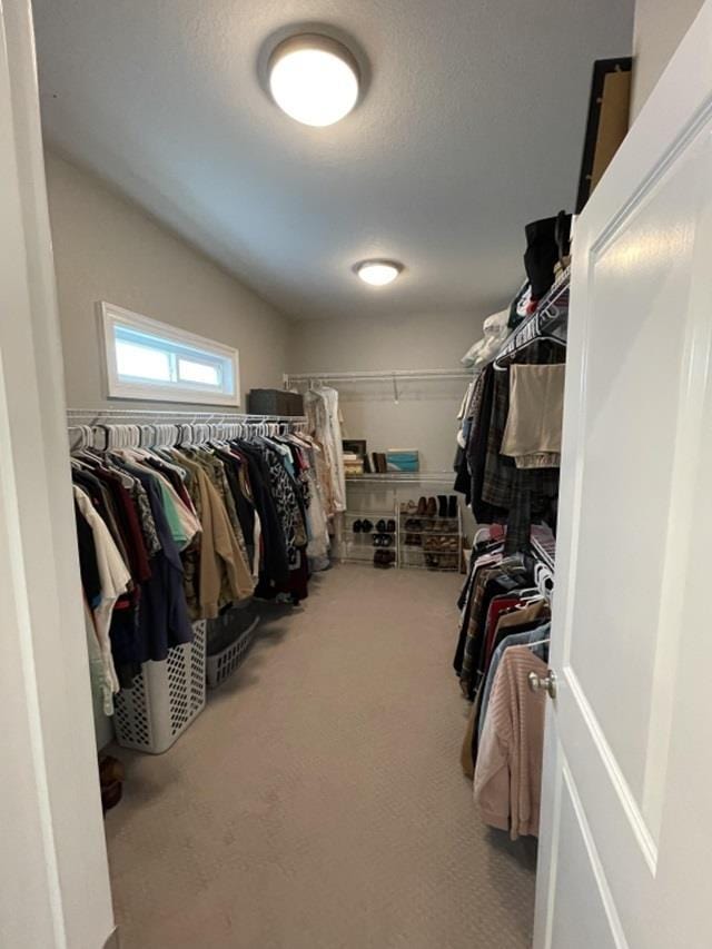 walk in closet with carpet