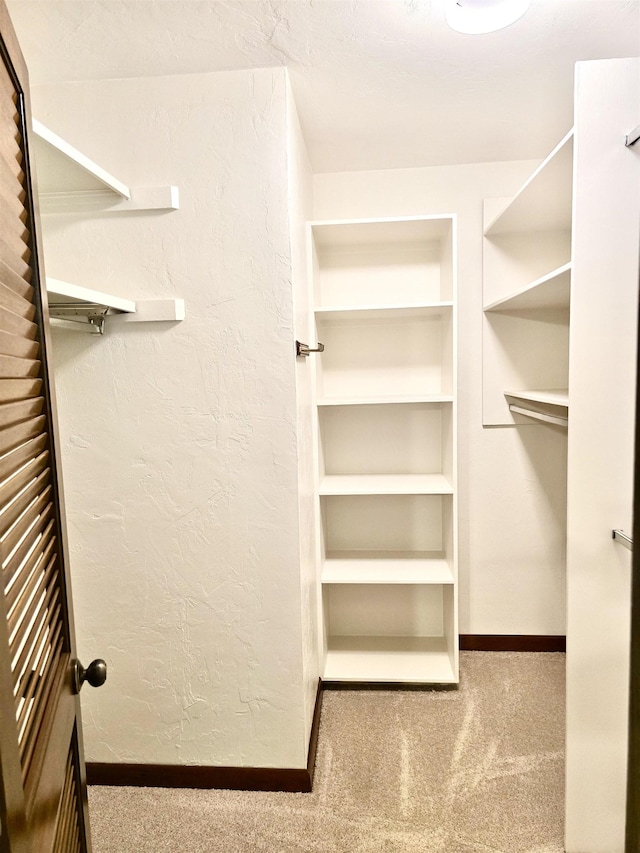 2840 Blair Stone Ct, Tallahassee, FL 32301 - walk in closet with carpet