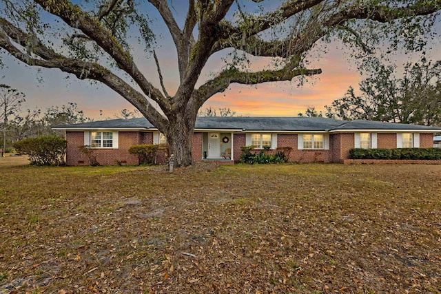 ranch-style house featuring a yard