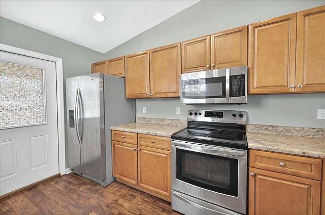 3974 Paeonia Ct, Tallahassee, FL 32305 - kitchen with appliances with stainless steel finishes, lofted ceiling, dark wood-type flooring, and recessed lighting