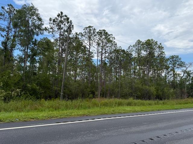 TBD Albert Hendry Rd, Greenville, FL 32331 - photo 21