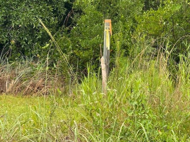 TBD Albert Hendry Rd, Greenville, FL 32331 - photo 31