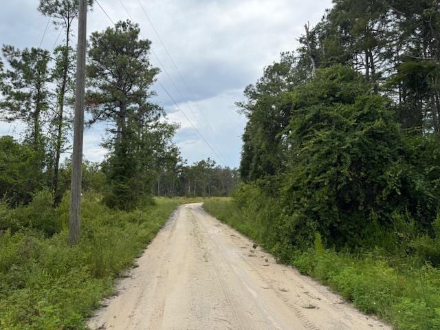 TBD Albert Hendry Rd, Greenville, FL 32331 - photo 19