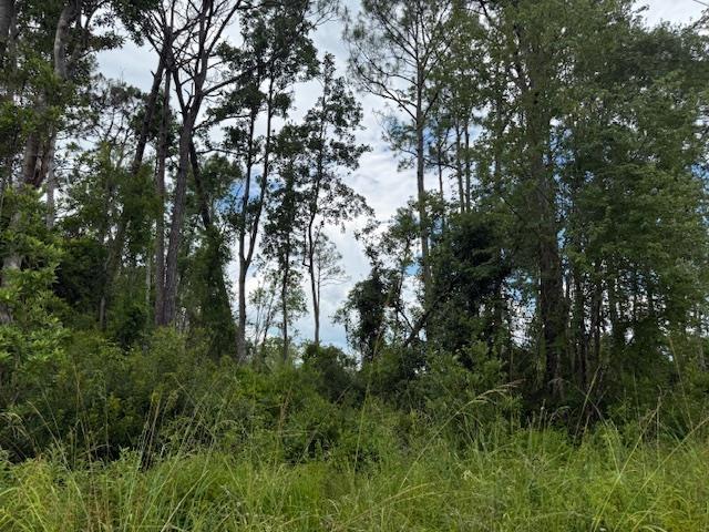 TBD Albert Hendry Rd, Greenville, FL 32331 - photo 28