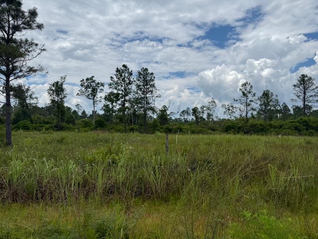 TBD Albert Hendry Rd, Greenville, FL 32331 - photo 8
