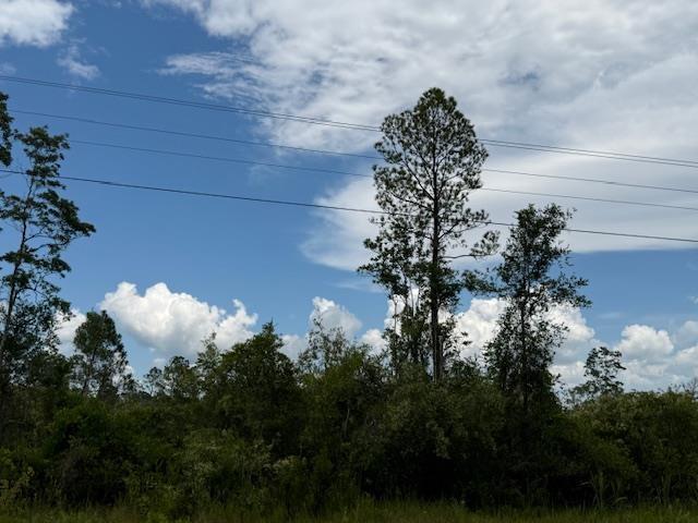 TBD Albert Hendry Rd, Greenville, FL 32331 - photo 16