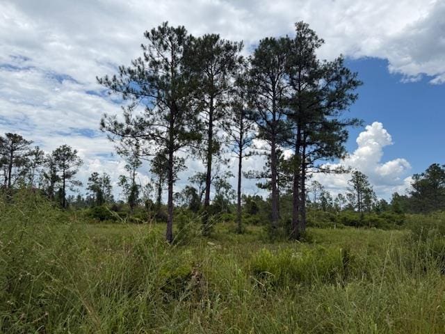 TBD Albert Hendry Rd, Greenville, FL 32331 - photo 10