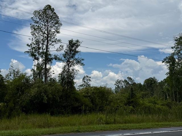 TBD Albert Hendry Rd, Greenville, FL 32331 - photo 17