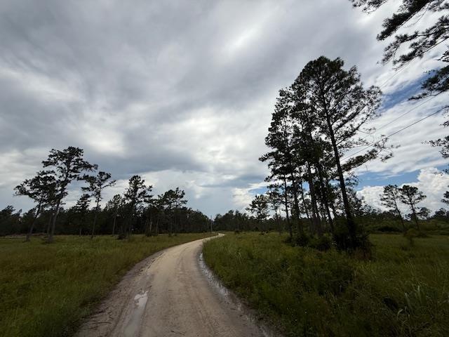 TBD Albert Hendry Rd, Greenville, FL 32331 - photo 18