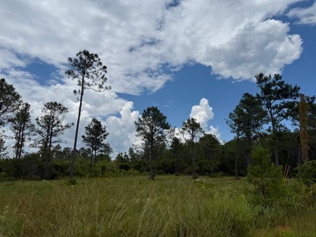 TBD Albert Hendry Rd, Greenville, FL 32331 - photo 11