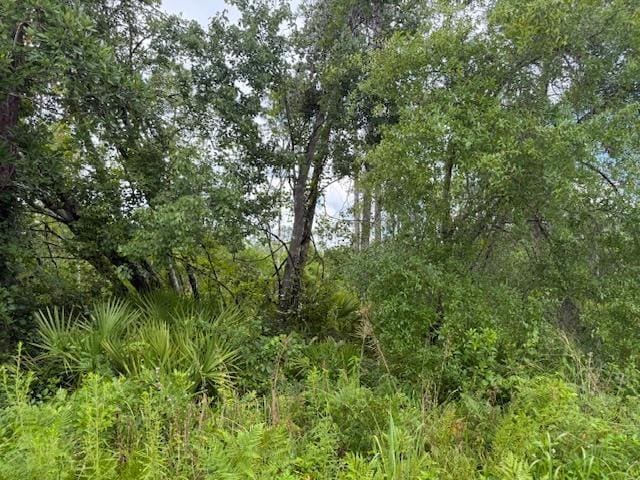 TBD Albert Hendry Rd, Greenville, FL 32331 - photo 26
